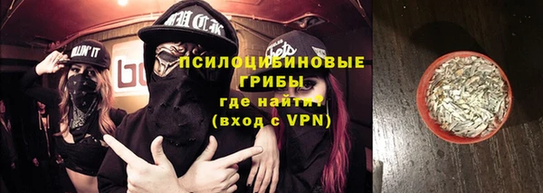 ГАЛЛЮЦИНОГЕННЫЕ ГРИБЫ Баксан